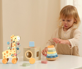 3 In 1 Gift Box: Giraffe Pull-Along, Stacking Tower and Shape Sorter
