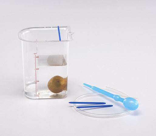Archemedes Measure - iPlayiLearn.co.za