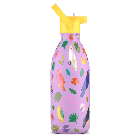 Cool Bottles Kids Reusable Thermal Bottle: Fly Free 500ml