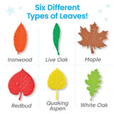 Sensory Leaves Math Activity Set