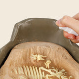 Cretaceous Dinosaur Fossil Dig Kit