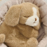GABRiEL Loulou Puppy 18cm