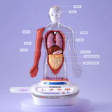 Science Can: My Body Voice Pedia