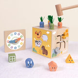Activity Cube 27pc