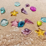 Translucent Seashell Counters 72pc