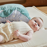 Kaloo Soothing Plush Dolphin 60cm