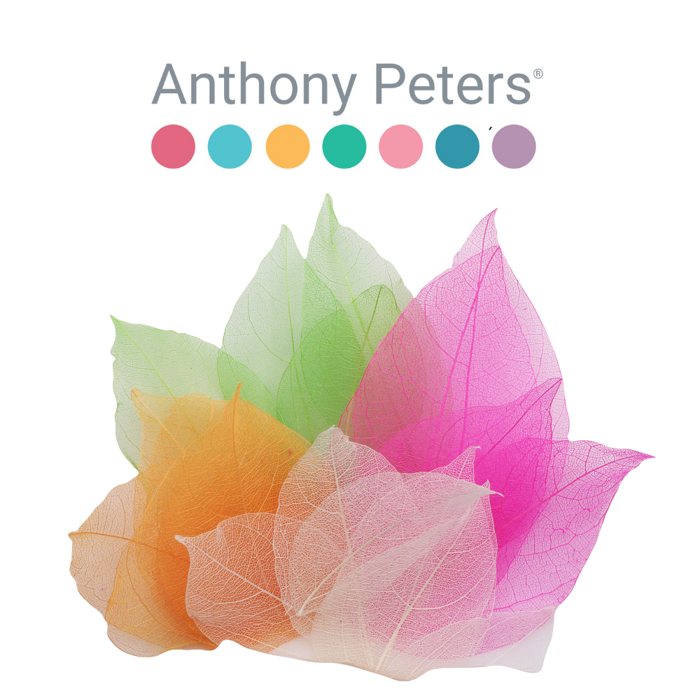 Skeleton Leaves: Bumper Assortment 300pc