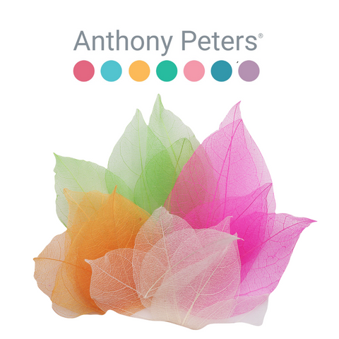 Skeleton Leaves: Bumper Assortment 300pc