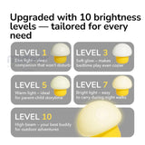 Magical Mushroom Lamp