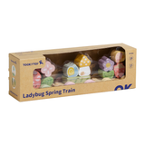 Ladybug Spring Train 15pc