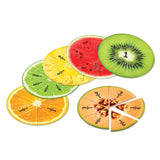 Magnetic Fruit Fractions 24pc