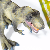 Dinosaur Toys Set 24pc
