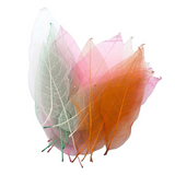 Skeleton Leaves: Bumper Assortment 300pc