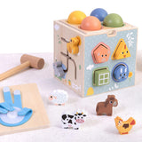 Activity Cube 27pc