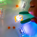 Glo Pals - Water Activated Light-Up Sensory Cubes: Zoo 6pc