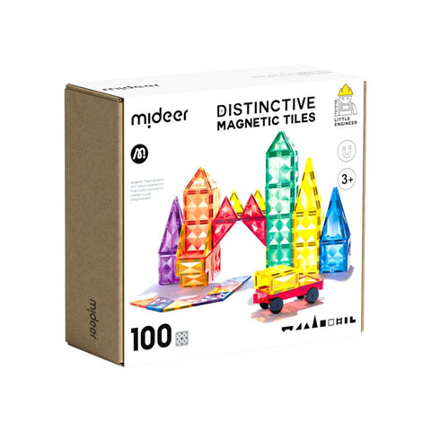 Distinctive Magnetic Tiles 100pc
