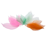 Skeleton Leaves: Bumper Assortment 300pc