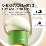 Magical Mushroom Lamp