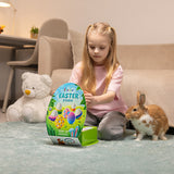 Hey Clay - Easter Studio