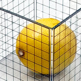 1L Cube 3D Grid Box Without Lid
