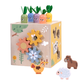 Activity Cube 27pc