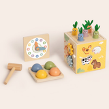 Activity Cube 27pc