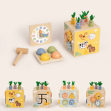 Activity Cube 27pc