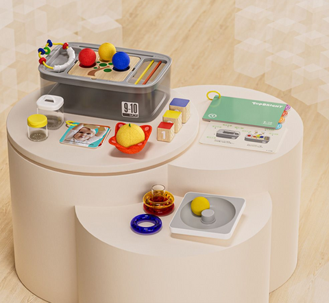 TopBright Early Childhood Development Box 25pc; 9-10 Months