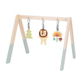 Baby Gym and Mobile