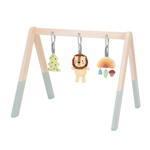 Baby Gym and Mobile