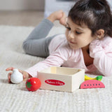 Wooden Food Groups Play Set: Produce