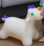 Sensory Training Joy Bounce