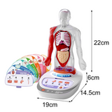 Science Can: My Body Voice Pedia