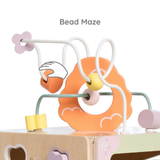 Honeybee Activity Cube