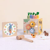 Activity Cube 27pc