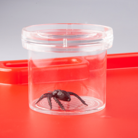 Magnifying Bug Viewer