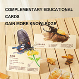 Wooden 3D Puzzle - Entomological Souvenirs: Papilio Memnon Butterfly 63pc