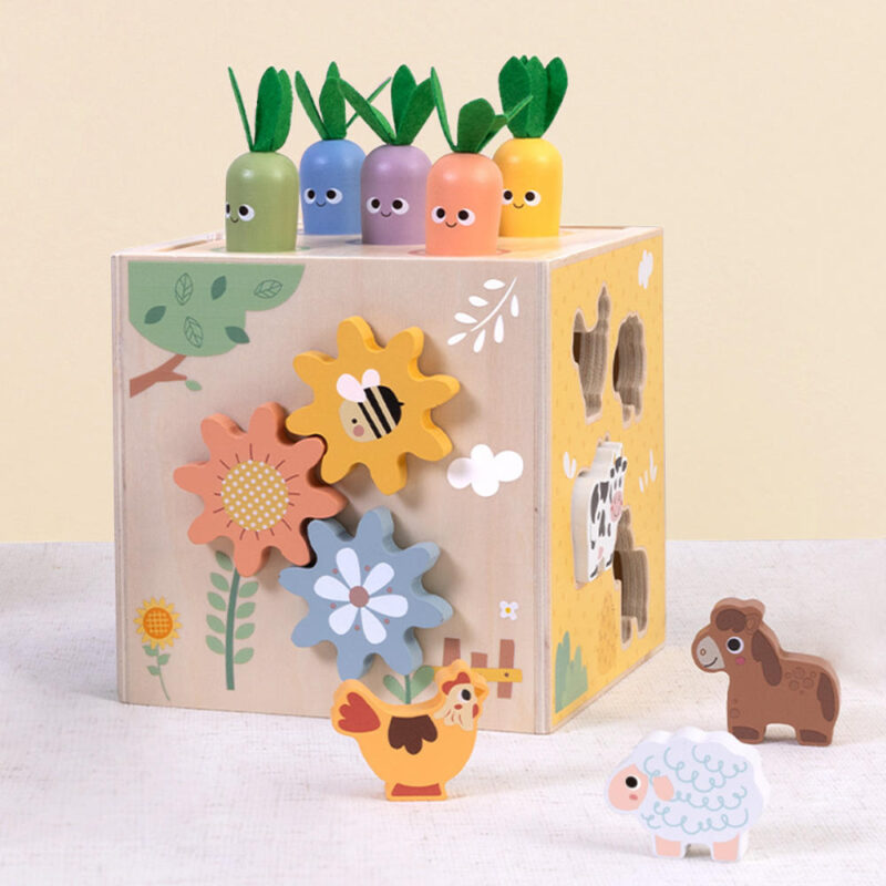 Activity Cube 27pc