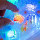 Glo Pals: Water Activated Light-Up Cubes - Ocean 6pc