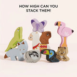 Andes Stacker & Bag 10pc