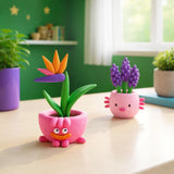Hey Clay - Plant Folks