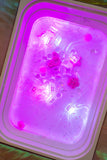 Glo Pals: Water Activated Light-Up Sensory Cubes - Princess Ida (Pink) 4pc