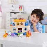 Noah's Ark 24pc
