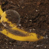 Now You See It, Now You Don't™ See-Through Compost Container