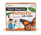 Giant Magnetic Butterfly Life Cycle - iPlayiLearn.co.za
 - 1