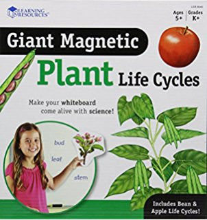 Giant Magnetic Plant Life Cycles - iPlayiLearn.co.za
 - 1