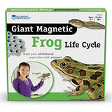 Giant Magnetic Frog Life Cycle - iPlayiLearn.co.za
 - 1