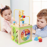 Garden 5 in 1 Activity Cube