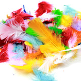 Collage Feathers 20gm