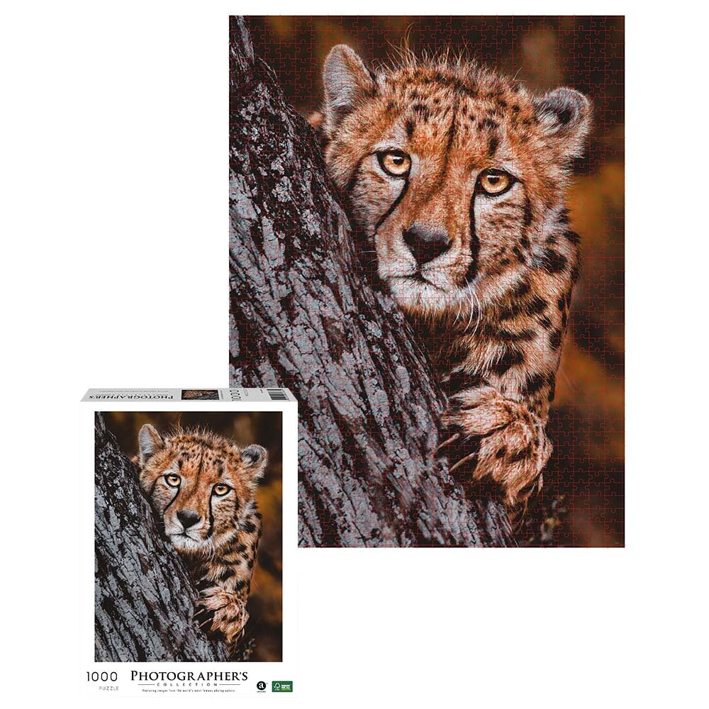Photographers Collection: Cheetah Puzzle 1000pc